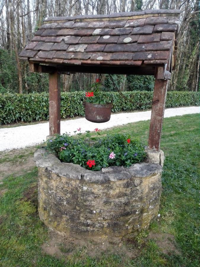 Le Chalet Douillet Saint-Genies Zewnętrze zdjęcie