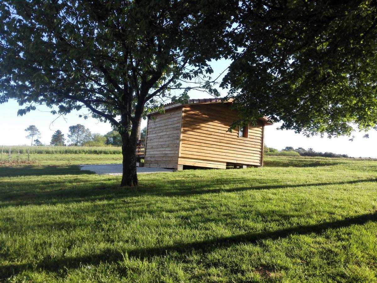 Le Chalet Douillet Saint-Genies Zewnętrze zdjęcie